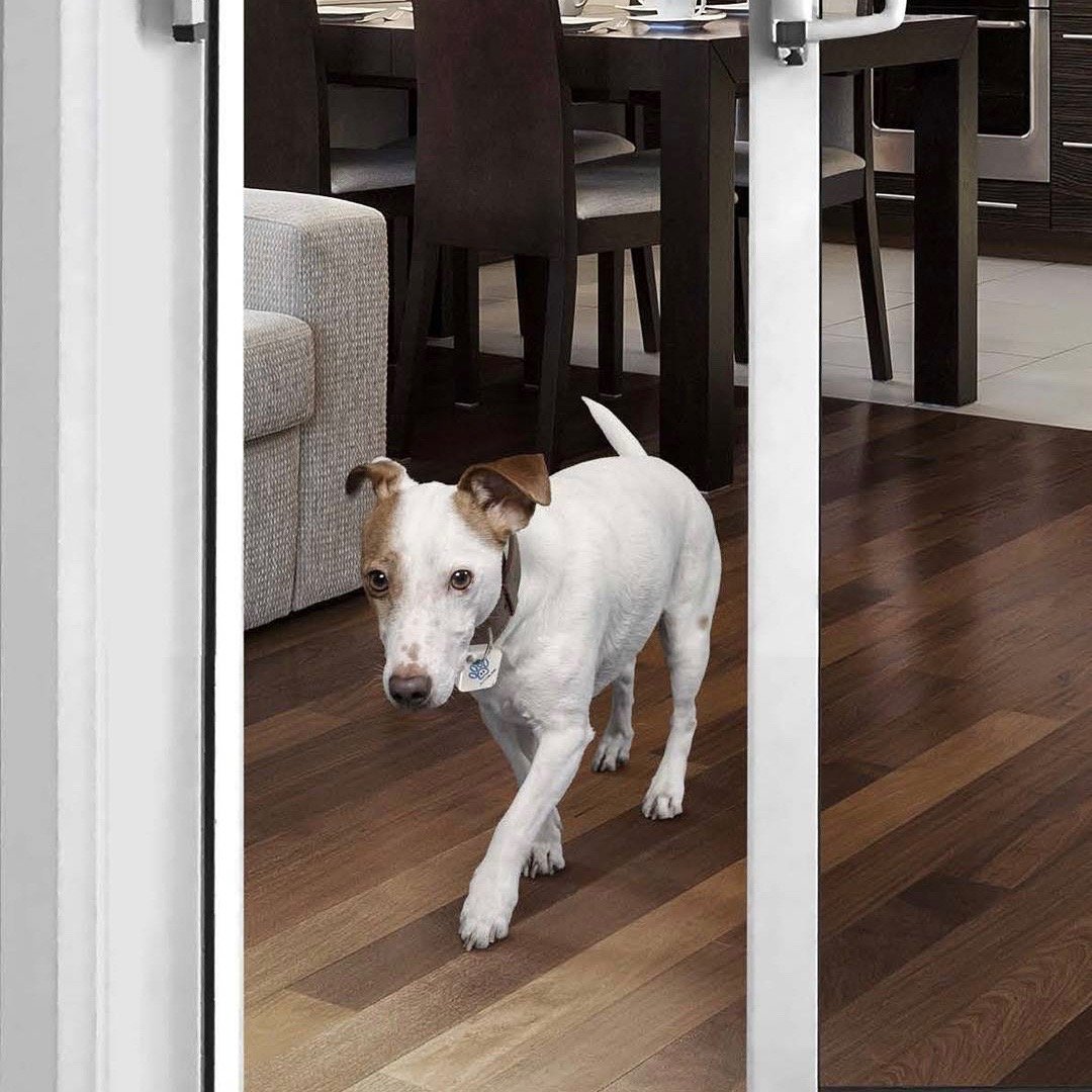 Autoslide Smart K9 Tag Set