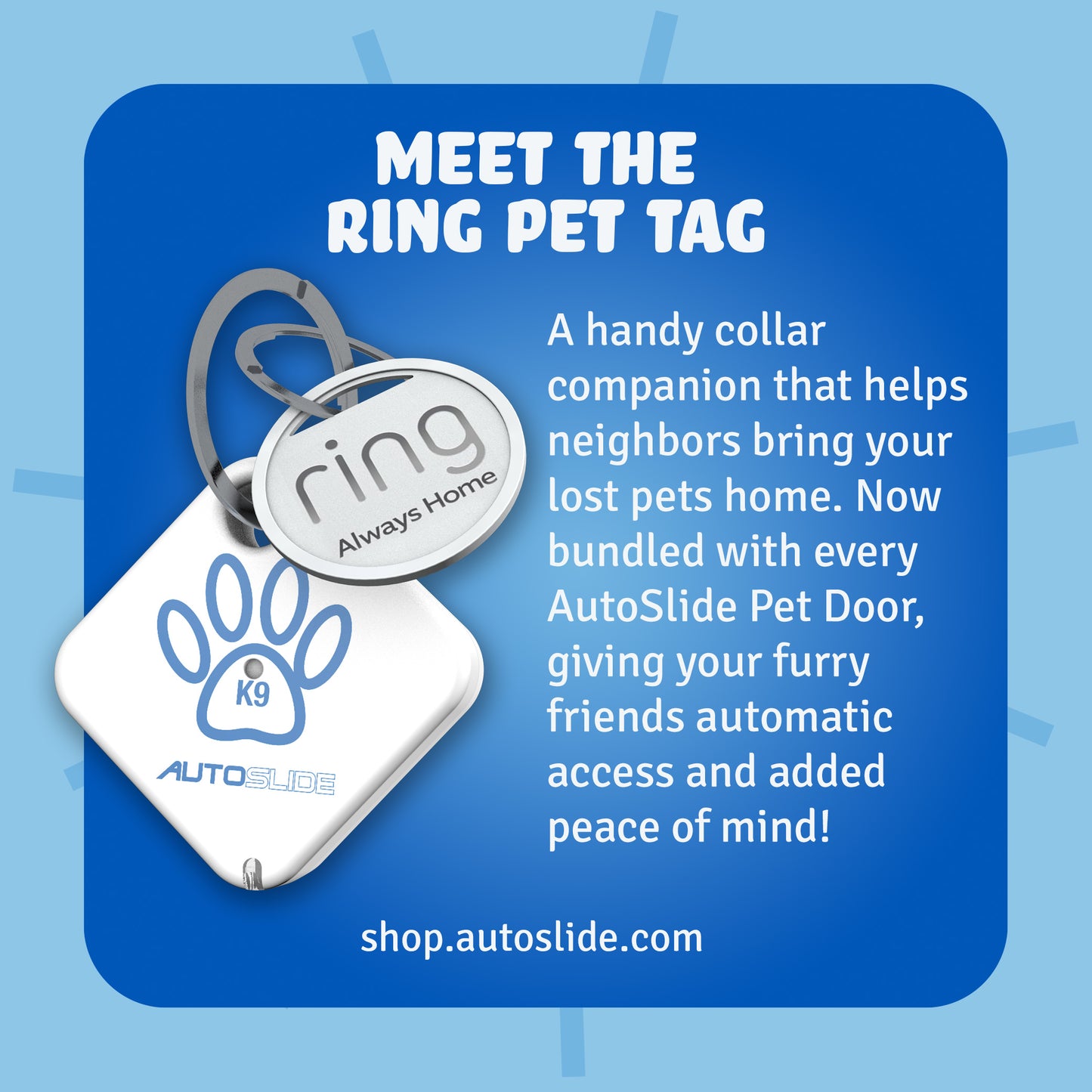 AutoSlide Motion Activated Pet Door