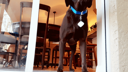 Autoslide Smart K9 Tag Set